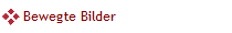 Bewegte Bilder