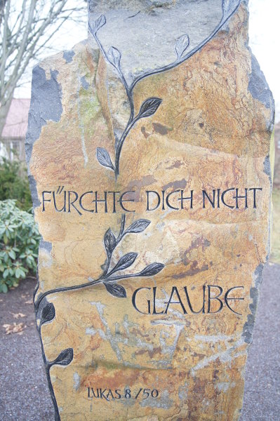 tannen,vertrieben,schiff 171